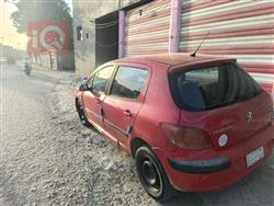 بیجۆ 307